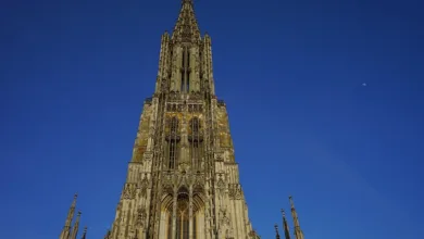 USDT erreicht neuen Rekord: 534 Millionen Nutzer weltweit