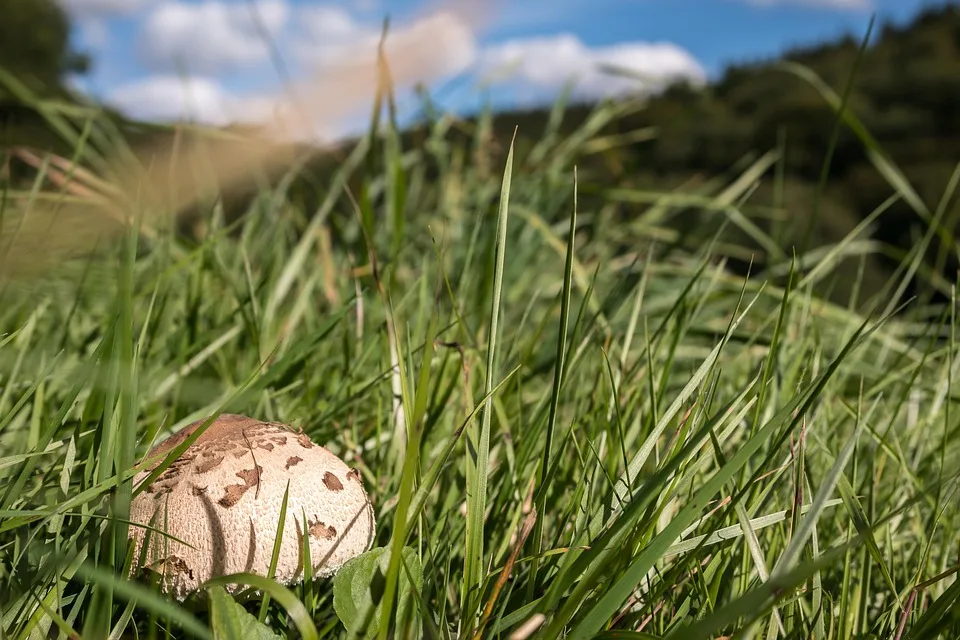 Verborgene Verkaufsströme setzen XRP-Kurs unter Druck