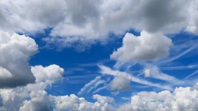 Cardano im Abwärtstrend: Anzeichen für weiteren Kursrückgang