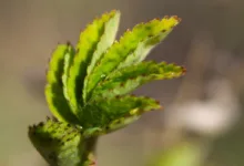 Aktuelle Entwicklungen bei Kryptowährungen in unserer Region