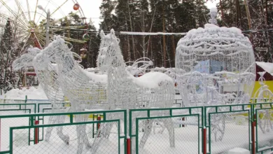 Goldman Sachs neues Krypto-Portfolio: XRP und Solana im Fokus