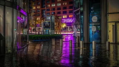 Bitcoin verliert seinen Platz unter den Top 10 der Vermögenswerte