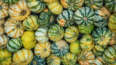 Bitcoin unter Druck: Markt erreicht Zwei-Jahres-Tiefstwerte