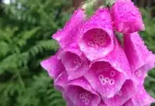 Warren warnt: Steuerzahler dürfen nicht für Krypto-Zocker bezahlen