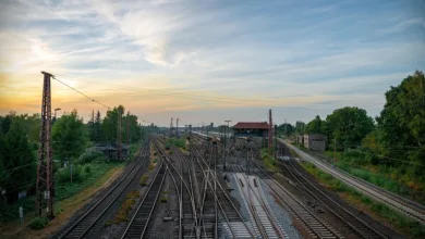 Hedera-Kurssturz: Chancen durch bullische Signale erkennen