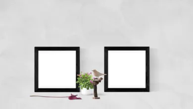 Marktturbulenzen: Robinhood Aktie vor wichtigen Ergebnissen