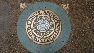 Bitcoins Kursstagnation: Abflüsse drücken auf die Dynamik