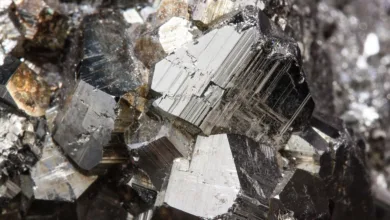 Pentagon prüft Ende der KI-Zusammenarbeit mit Anthropic