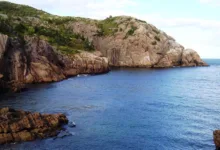 Quantencomputer und Bitcoin: Risiken gut im Griff