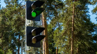 Kapitalabflüsse bei Krypto-ETPs: Signal für Anlegerstimmung?