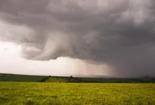 eToro startet zeitlich begrenzten Krypto-Bonus für Einsteiger