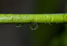 Transparenz durch zk-SNARKs: Binances Proof-of-Reserves-System