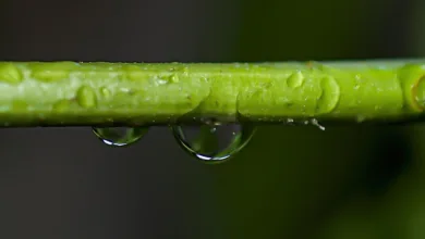 Transparenz durch zk-SNARKs: Binances Proof-of-Reserves-System