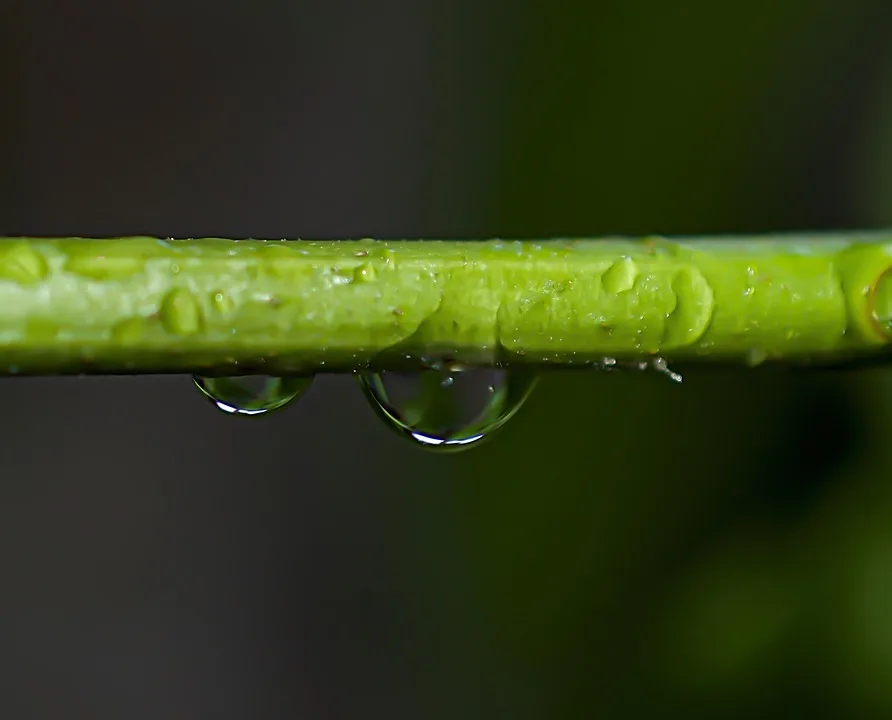 Transparenz durch zk-SNARKs: Binances Proof-of-Reserves-System