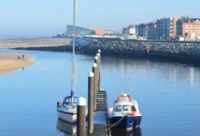 XRP-Kursrückgang: Wale zeigen sich kämpferisch im Markt