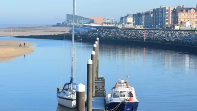 XRP-Kursrückgang: Wale zeigen sich kämpferisch im Markt