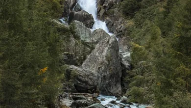 Krypto-Markt im Schwund: Bitcoin fällt auf 60.000 Dollar