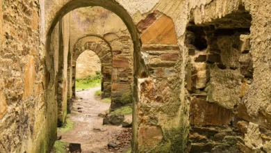 XRP im Fokus: Chancen und Risiken in unsicheren Zeiten