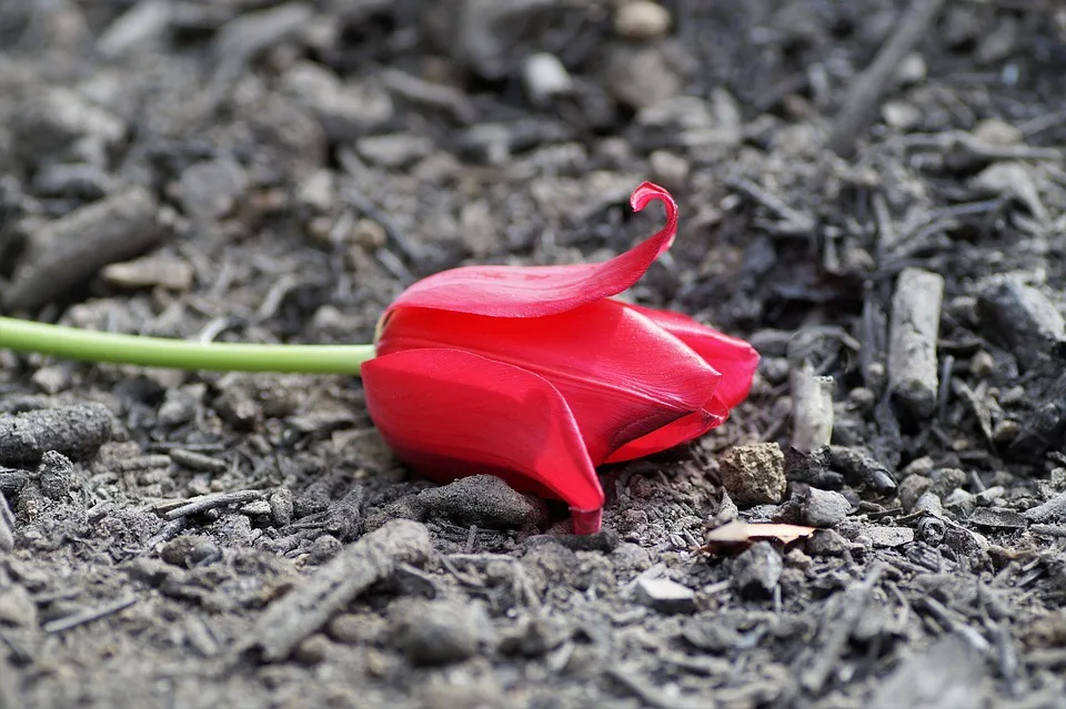 Bitcoin unter Druck: Ist dies der nächste große Schritt?