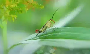 BitMines Ethereum-Zukauf: Tom Lees Langzeitstrategie im Fokus