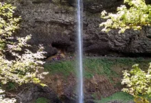 Solana-Kurs fällt: Wächst das Netzwerk trotz Rückgang?