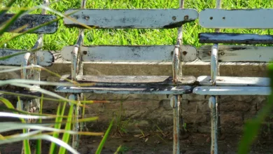 Krypto versus Banken: Einigung zu Stablecoin-Zinsen gefordert