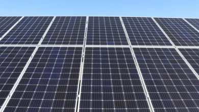 Valmet Oyj: Innovative Lösungen für die Industrie vor Ort