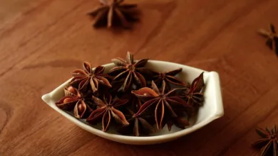 Pepeto: Ein neuer Star im Krypto-Presale mit 100x Potenzial