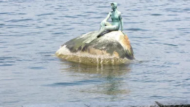 Morgan Stanleys Krypto-Offensive: DeFi und Tokenisierung im Fokus