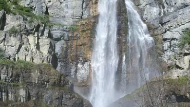 Bitcoin fällt erneut – Volatilität und Risiken im Fokus