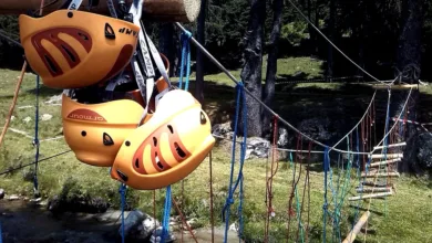 XRP im Aufschwung: Risiko oder Chance für Investoren?