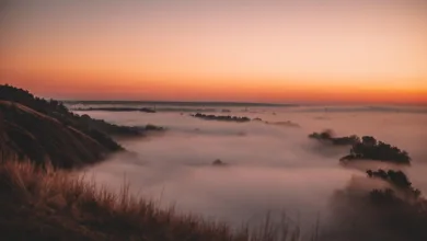 Krypto-Kurs unter Druck: Trons Justin Sun plant BTC-Investition