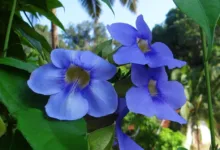 Kryptowährungen: Neel Kashkari kritisiert deren Nutzen und Relevanz