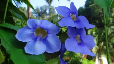 Kryptowährungen: Neel Kashkari kritisiert deren Nutzen und Relevanz