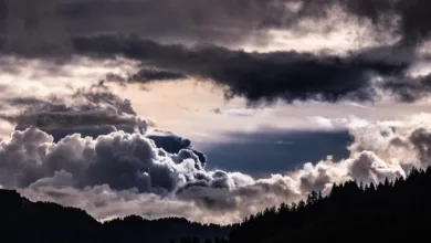 Bitcoin-Kurs zwischen Stabilität und drohendem Rückgang