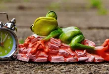 X Money: Ein neuer Finanzdienst für die Nutzer von X