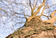 Die Top 20 Kryptowährungen der Woche im Fokus