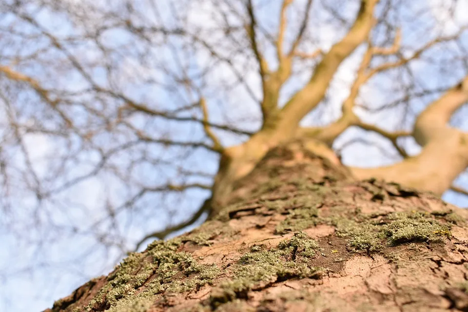Die Top 20 Kryptowährungen der Woche im Fokus