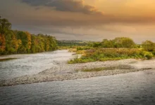 Drogenkartelle verlagern Geldwäsche auf Kryptowährungen