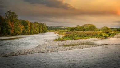 Drogenkartelle verlagern Geldwäsche auf Kryptowährungen