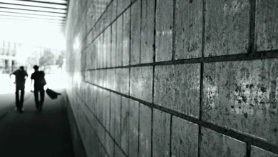 Bitcoin im Sinkflug: Ist das Ende des Kryptobooms nah?