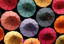 Vielfalt der Marubeni Corporation: Ein Blick auf 12 Geschäftsbereiche