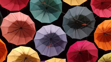 Vielfalt der Marubeni Corporation: Ein Blick auf 12 Geschäftsbereiche