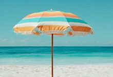 Krypto-Investitionen 2026: Chancen und Risiken klar verstehen