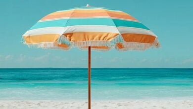 Krypto-Investitionen 2026: Chancen und Risiken klar verstehen