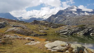 Bitcoin unterliegt massivem Druck: Rückgang auf 69.000 Dollar