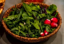 Iranisches Bitcoin-Mining: Profite und Risiken im Jahr 2026