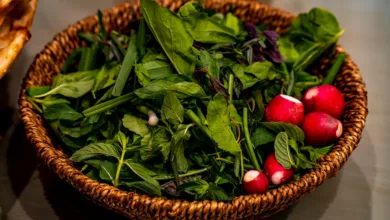 Iranisches Bitcoin-Mining: Profite und Risiken im Jahr 2026