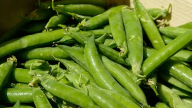 Krypto-Investitionen: Wie DeepSnitch AI den Markt wandelt