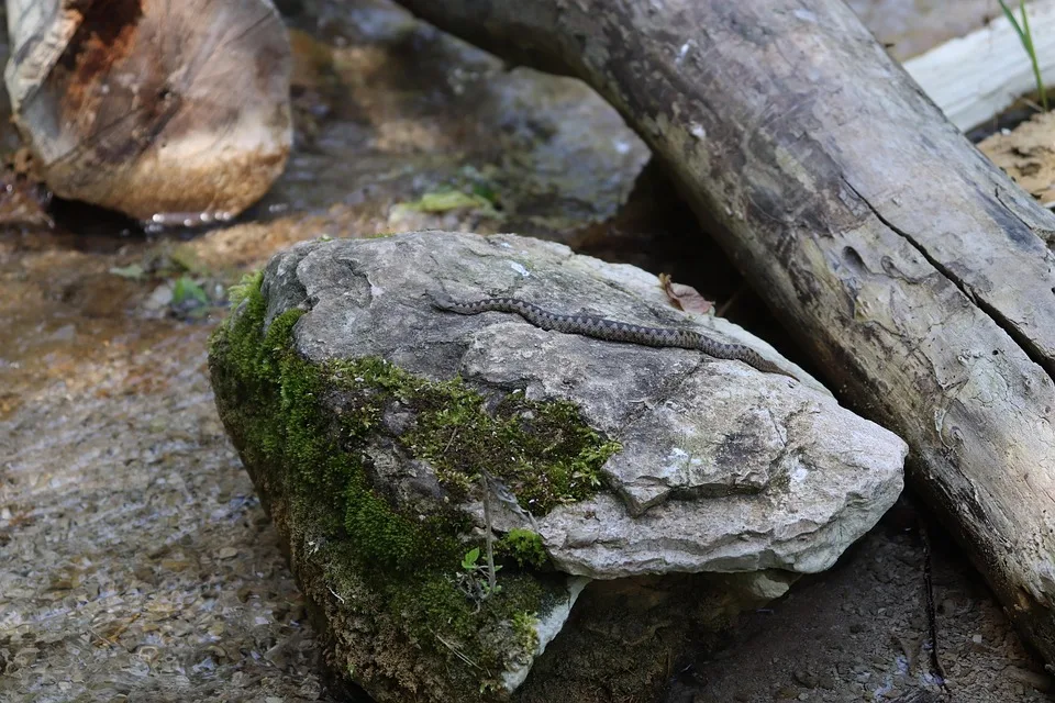 Gefährlicher Optimismus: Bitcoin-Kurs und Risiken im Fokus